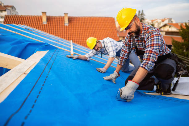 Best Solar Panel Roofing Installation  in Marlow, OK